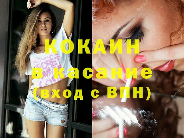 мяу мяу мука Бородино