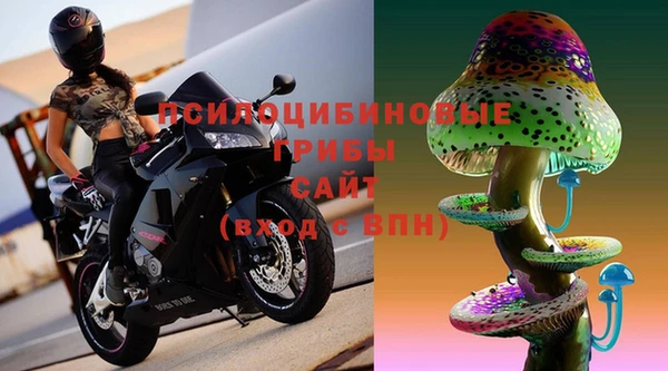 ГАЛЛЮЦИНОГЕННЫЕ ГРИБЫ Бугульма
