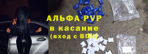 мяу мяу мука Бородино