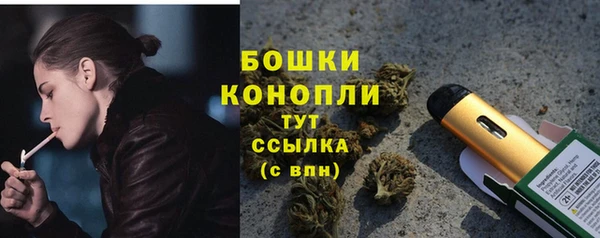ГАЛЛЮЦИНОГЕННЫЕ ГРИБЫ Бугульма