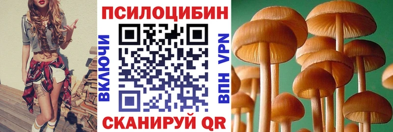 shop какой сайт  Тбилисская  Псилоцибиновые грибы MAGIC MUSHROOMS 